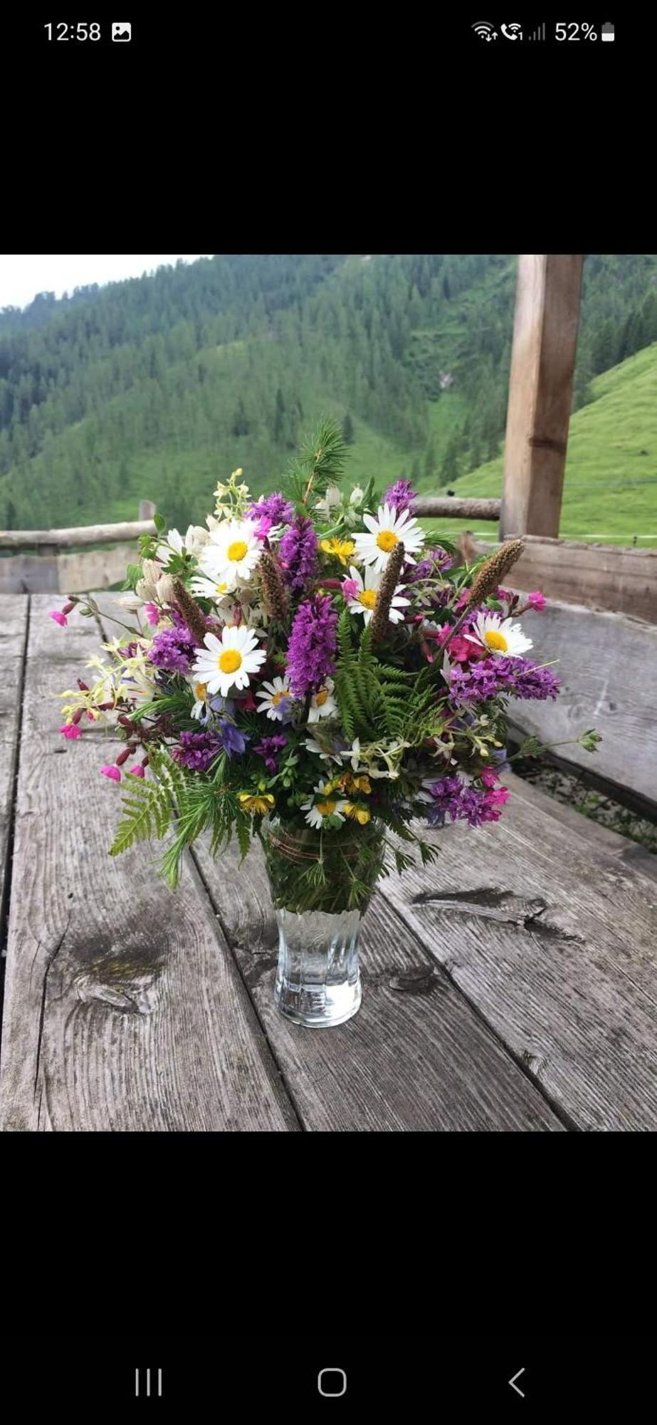 Bergliebe Appartement Sankt Martin am Tennengebirge Buitenkant foto